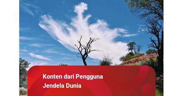 Santap Lezat di Tengah Perumahan GSP: Pujasera Kalimantan